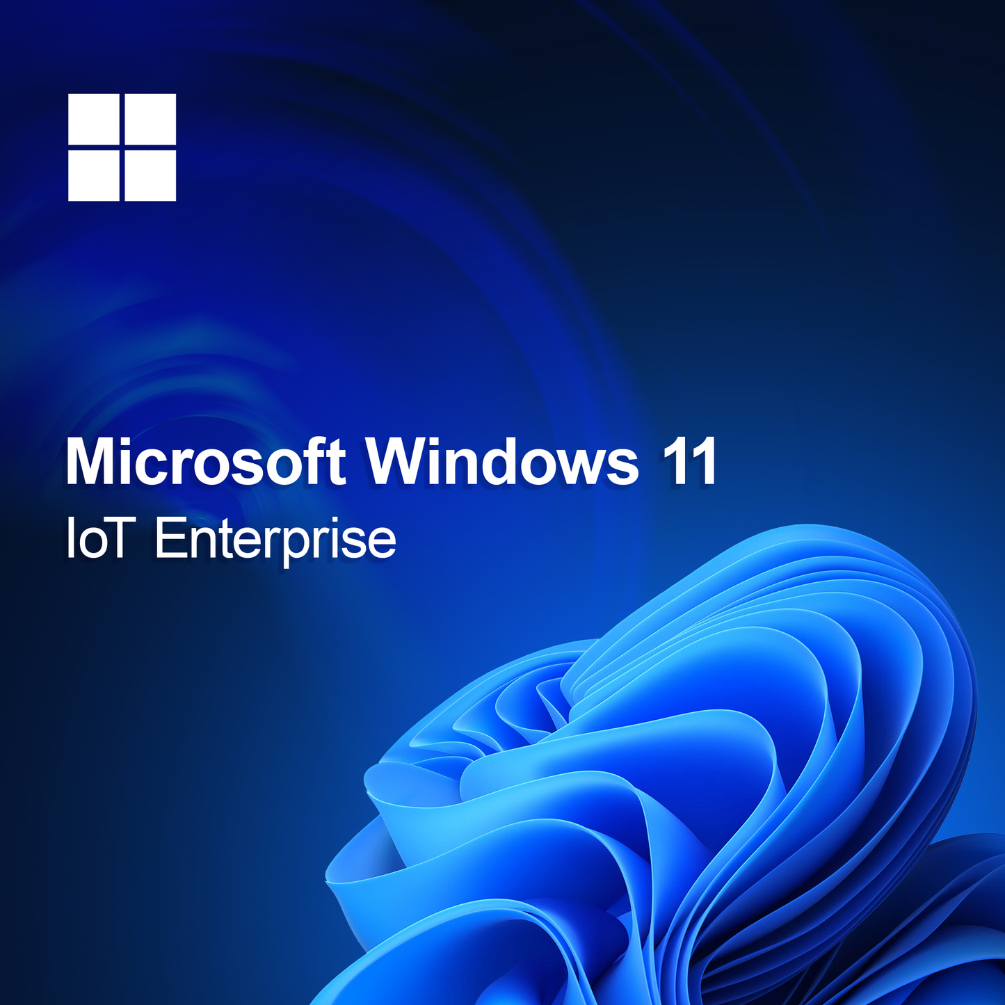 Microsoft Windows 11 IoT Kurumsal