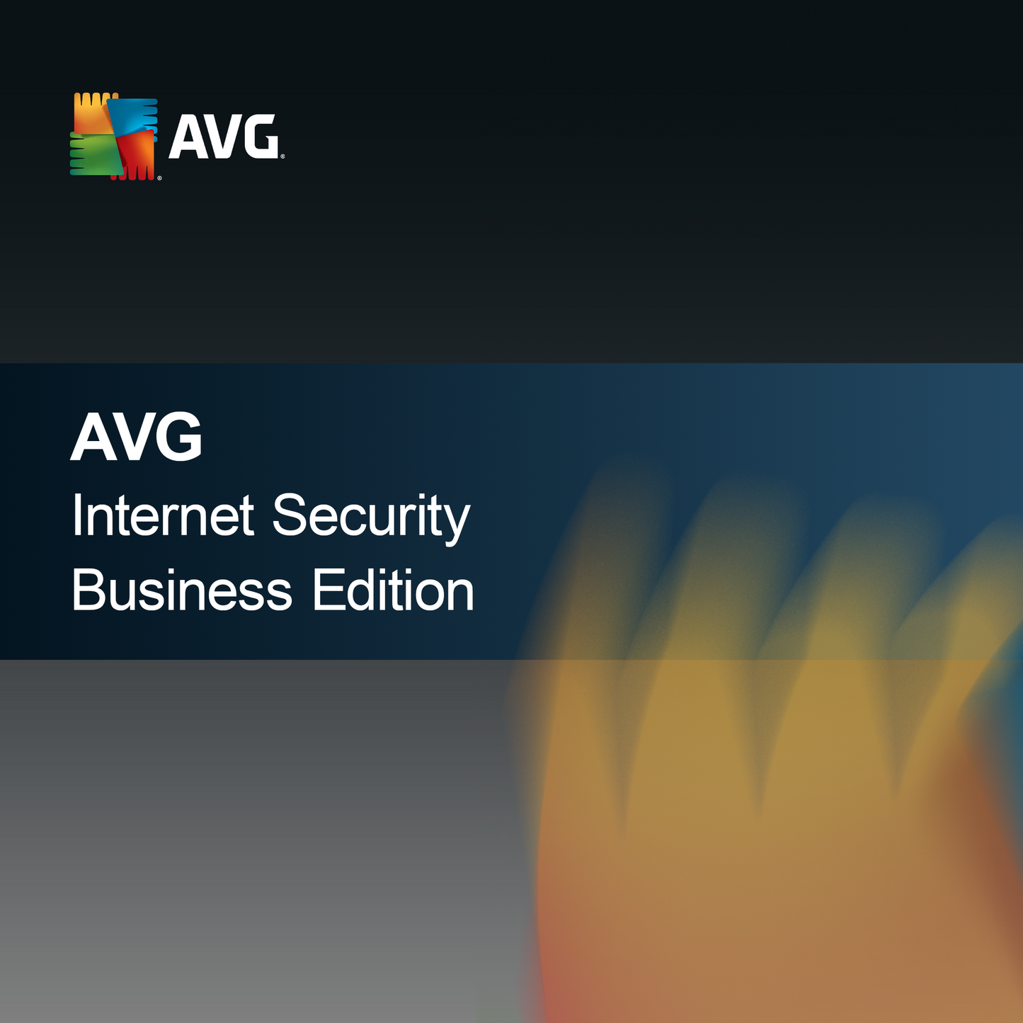 AVG Internet Security Företagsutgåva